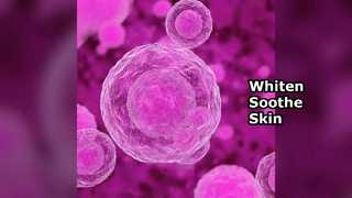 Cosmetic Raw Material CAS 23434-88-0 For Skincare