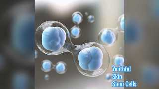 Stem Cell Extract Cosmetic Raw Material